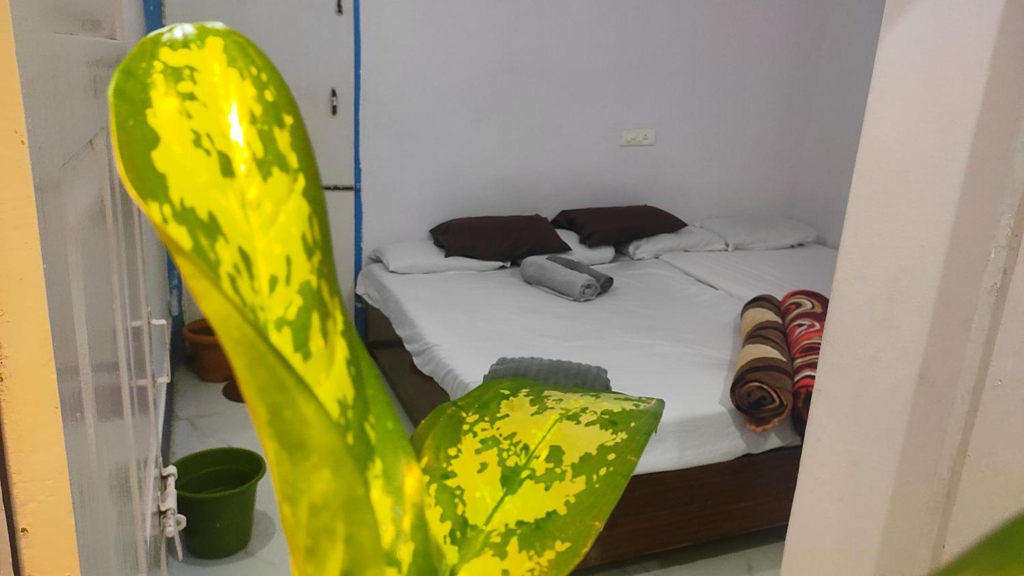 Adh Amilia Gardens Hotel Narasimharaja Puram Exterior photo