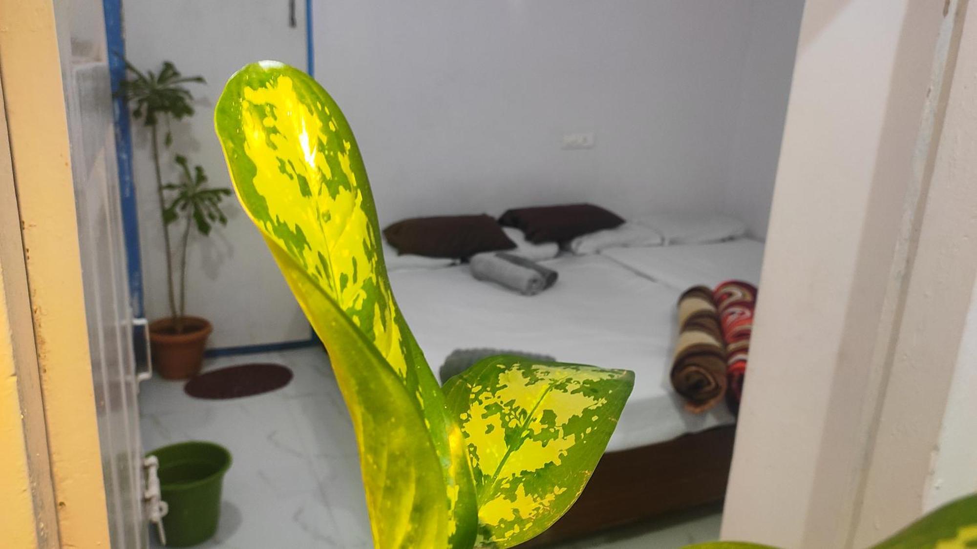 Adh Amilia Gardens Hotel Narasimharaja Puram Exterior photo